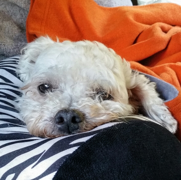 Meet your Posher, A. - Picture 2 of 6